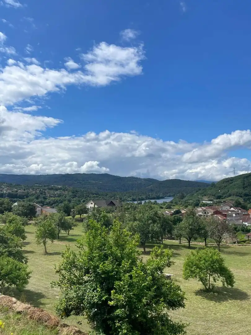 Land for sale in Ribadavia