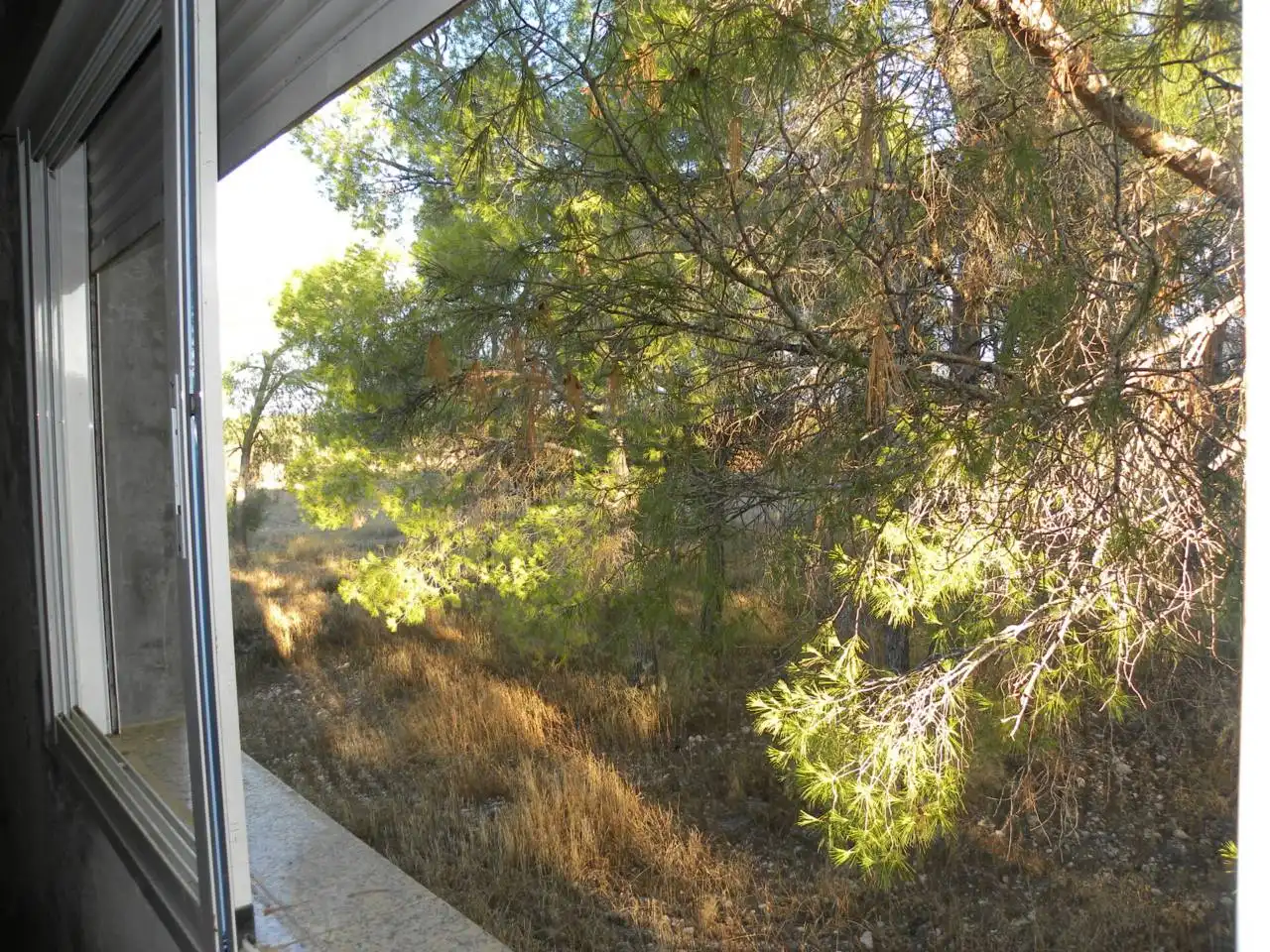 Country house with garden for sale in Calle Diseminado Casa Pepa, imagen 27