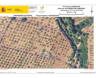 Land for sale in Atzeneta del Maestrat