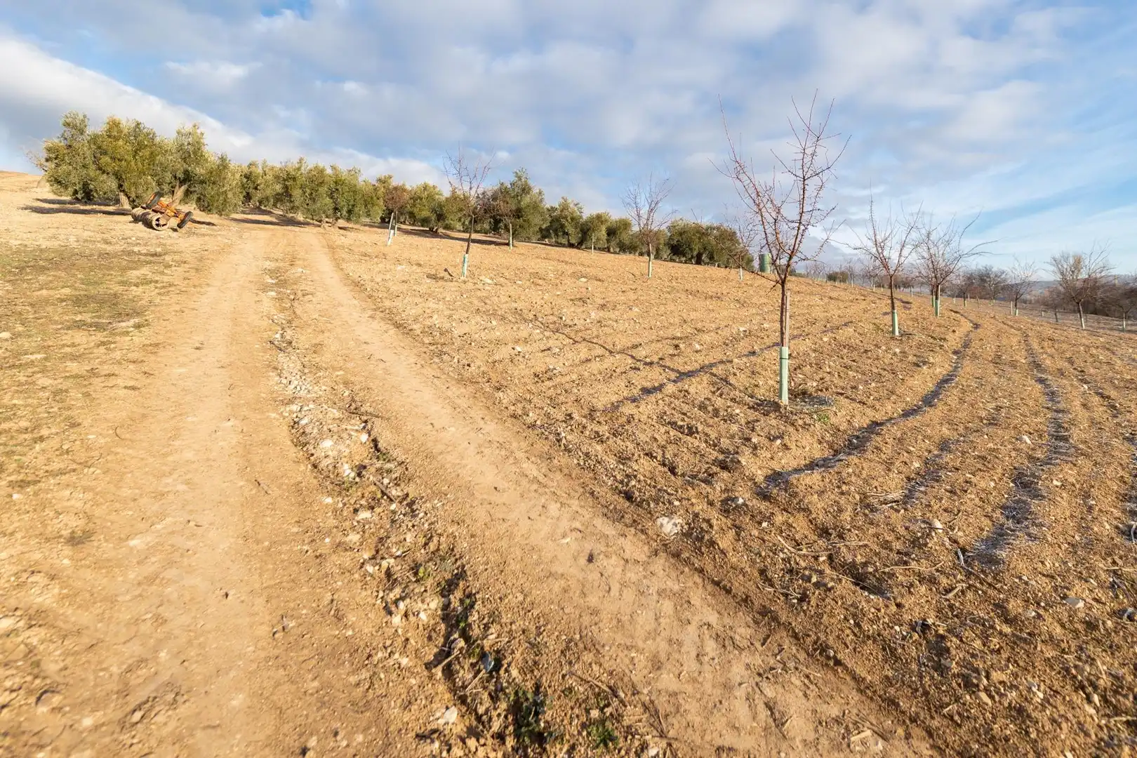 Finca rústica en venta en Píñar