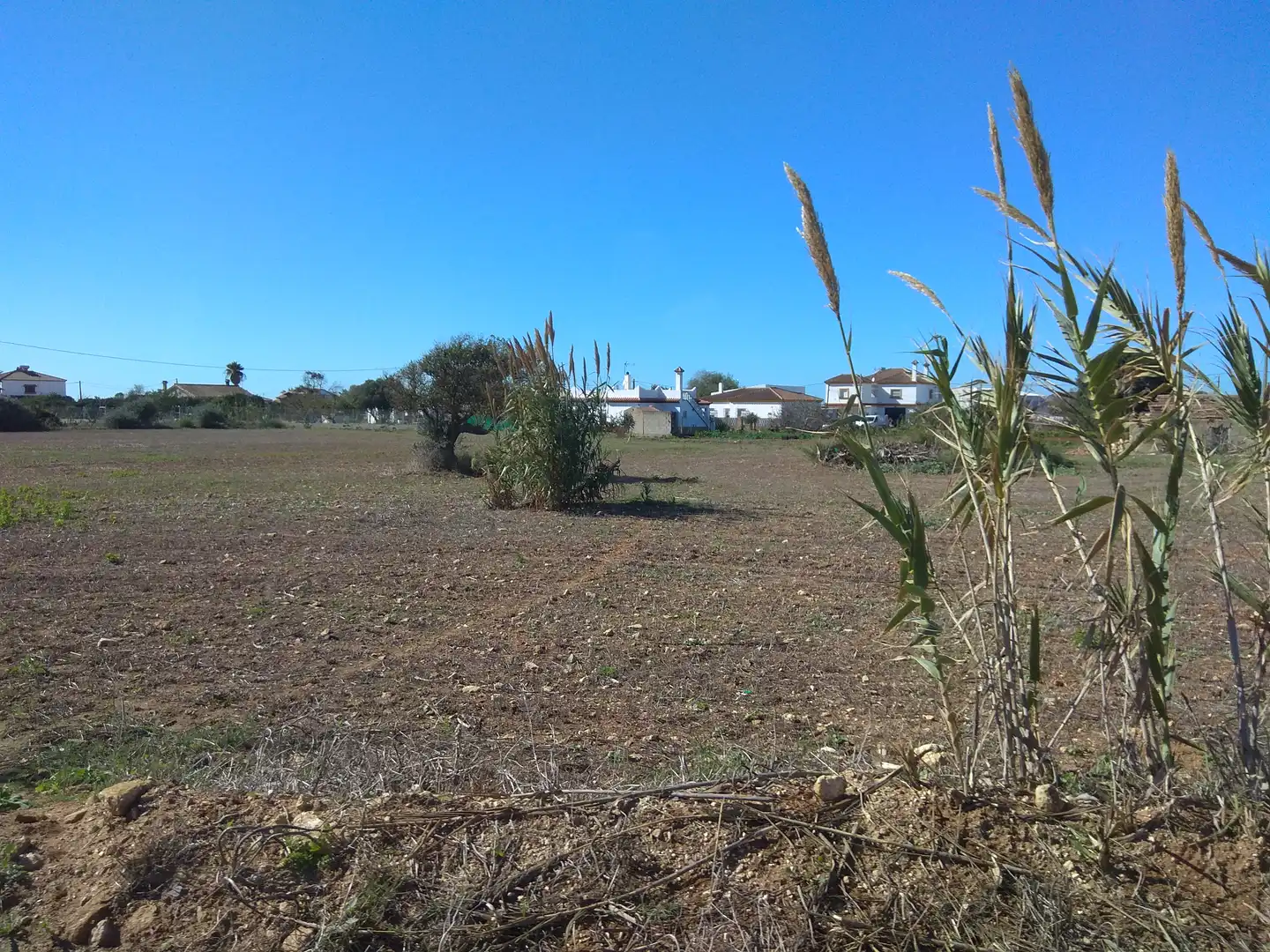 Grundstücke zum Verkauf in Cádiz