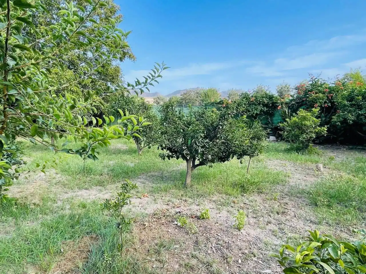 Casa o xalet en venda en Murcia amb Aire condicionat, Calefacció i Jardí privat