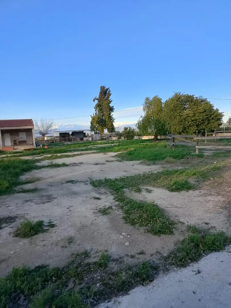 Finca rústica en venta en Daya Nueva