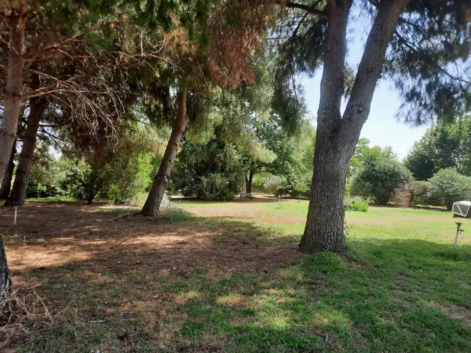 Terreni e lotti in vendita a Santa Olalla, imagen 65