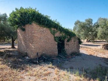 Terreno rustico in vendita a N/A