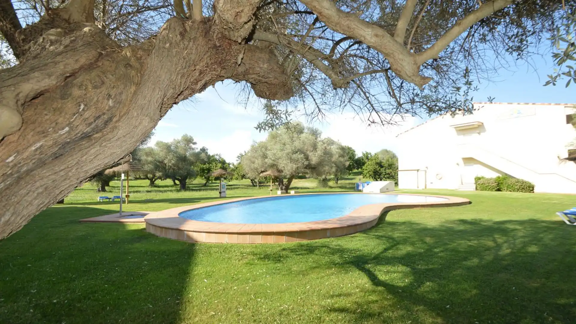 Swimming pool of Apartments for sale in San Jorge / Sant Jordi  with Air Conditioner, Heating and Terrace