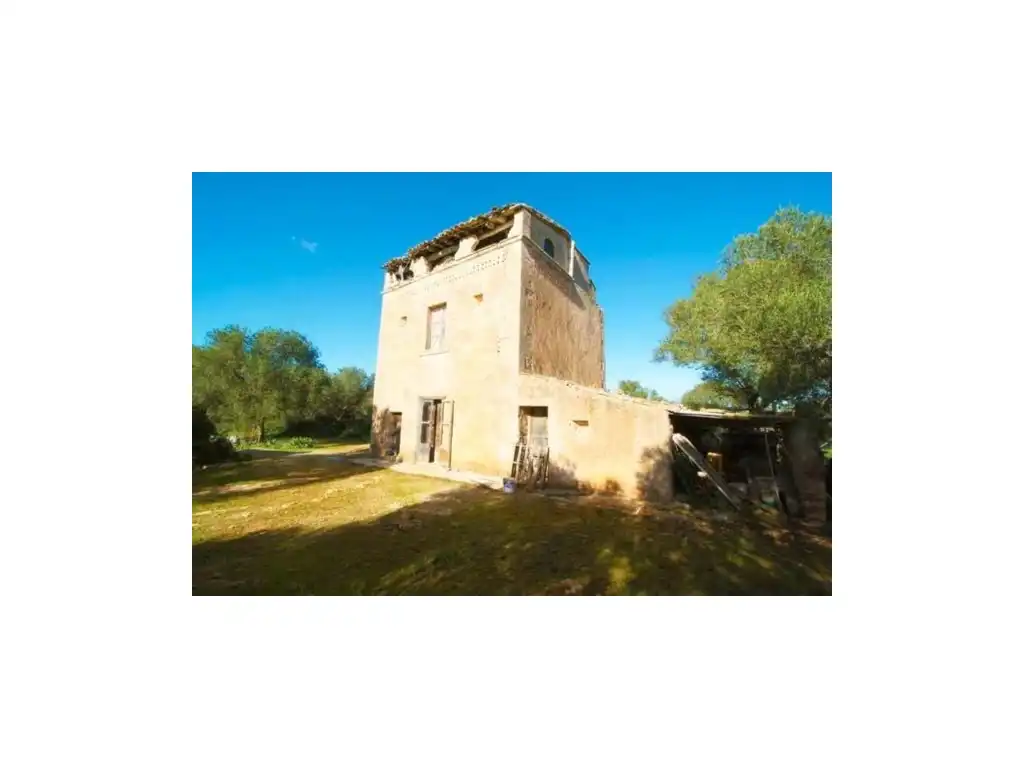 Maison rustique à vendre à Diseminados Son Trompa, imagen 11