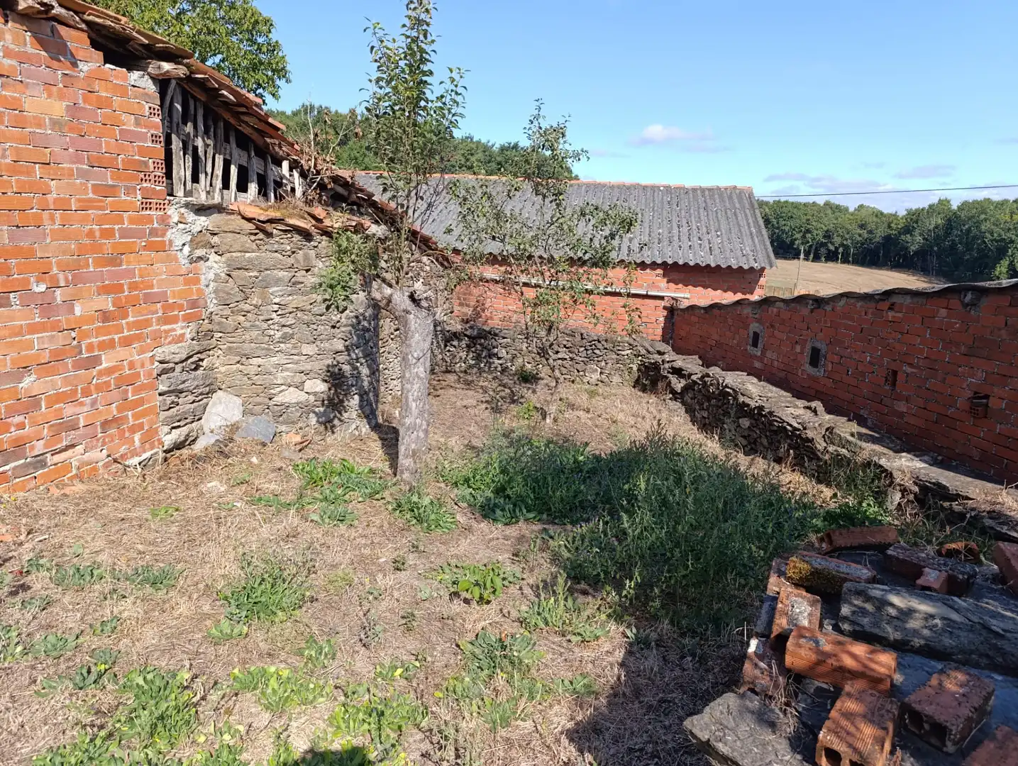 Casa o chalet en venta en O Saviñao 