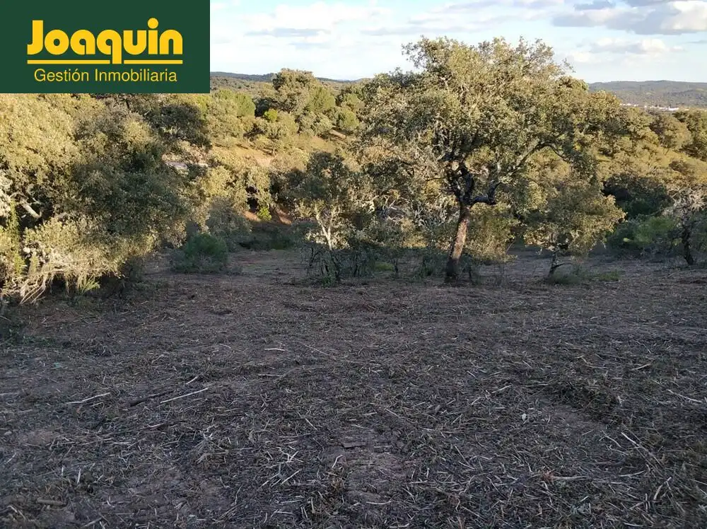 Terreno en venta en Obejo