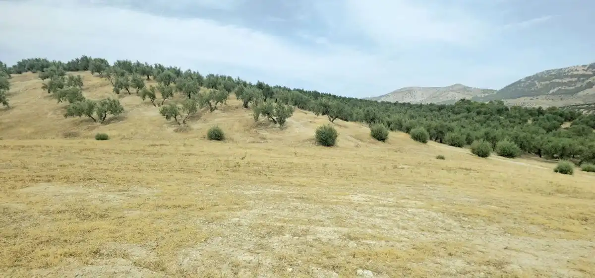 Terreni e lotti in vendita a N-323a, imagen 2