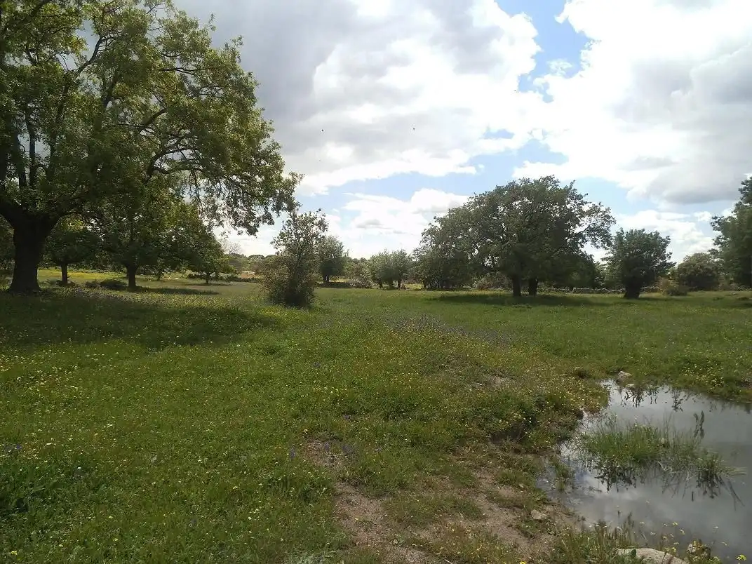Residencial en venda en Valdemorillo
