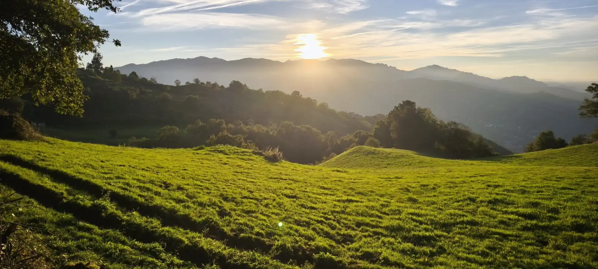 Vista exterior de Casa o xalet en venda en Mieres (Asturias) amb Jardí privat, Terrassa i Traster