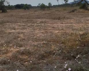 Land for sale in Sant Josep de sa Talaia