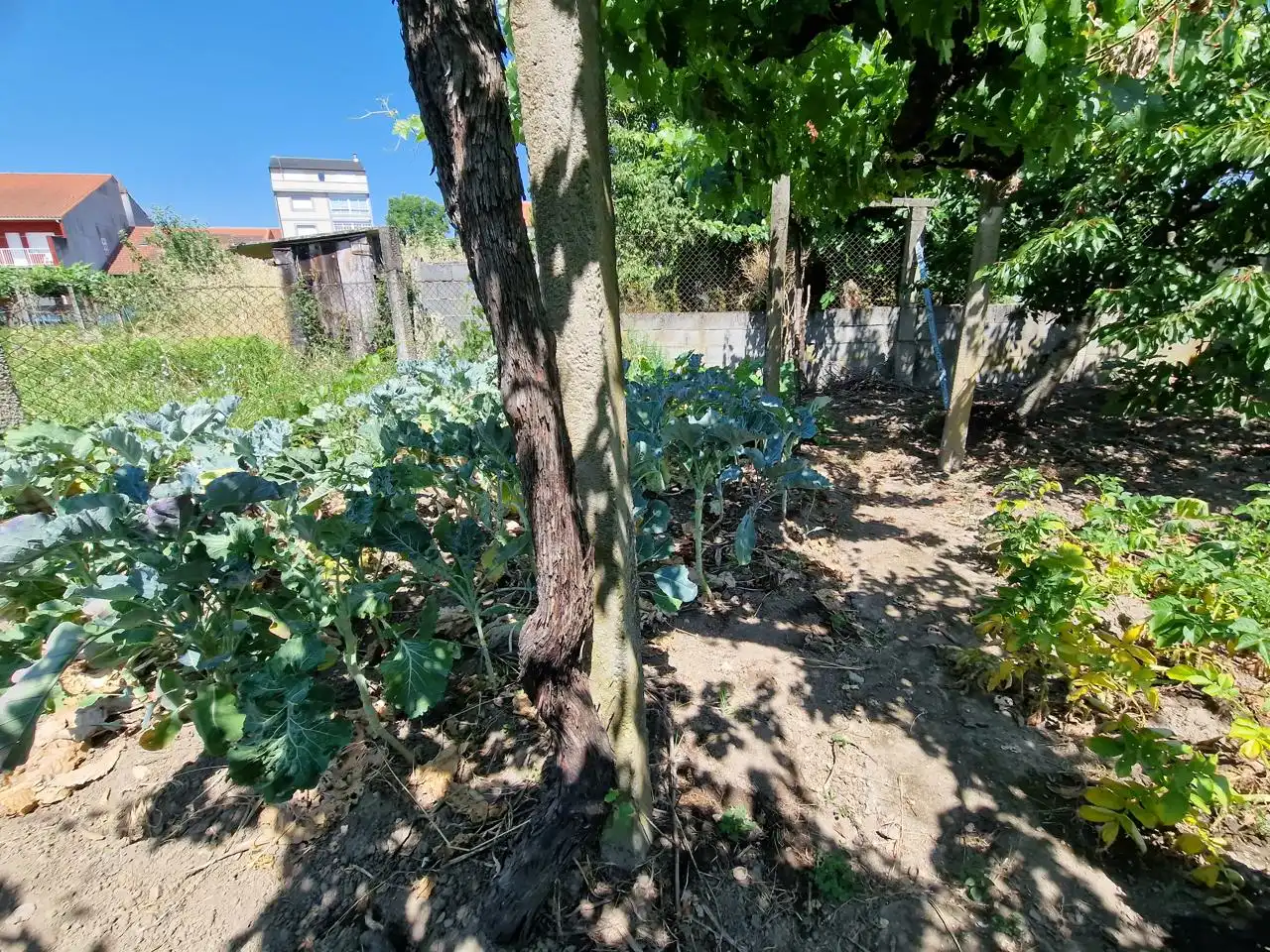 Garden of Houses for sale in Monforte de Lemos  with Heating and Balcony
