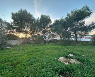 Land for sale in Alaior