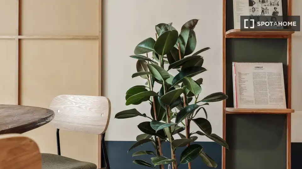 Dormitori de Apartament per a compartir en Barcelona amb Aire condicionat, Terrassa i Moblat