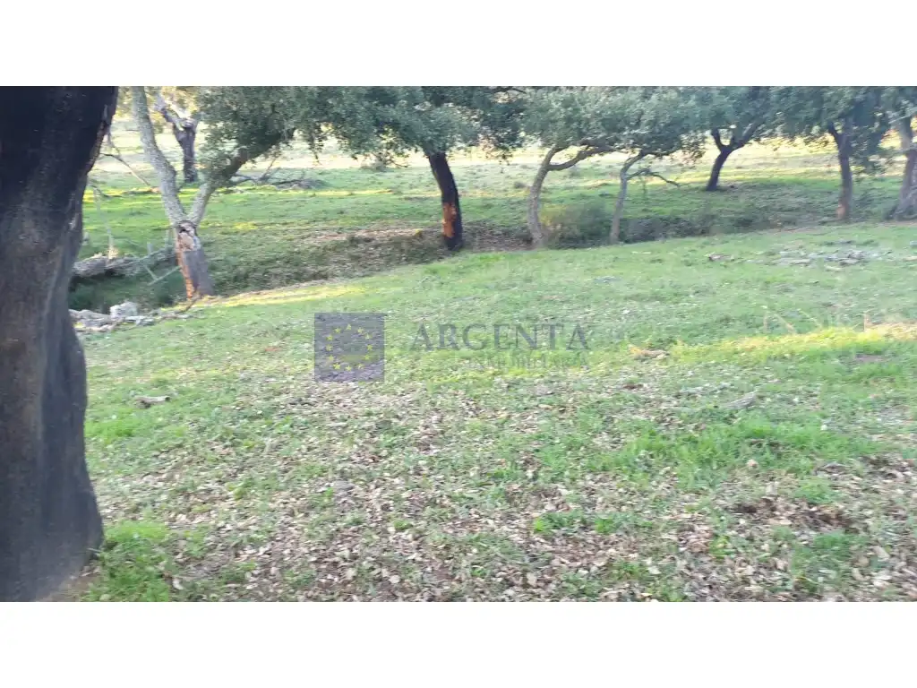 Casa en venda a Alcuéscar, imagen 30