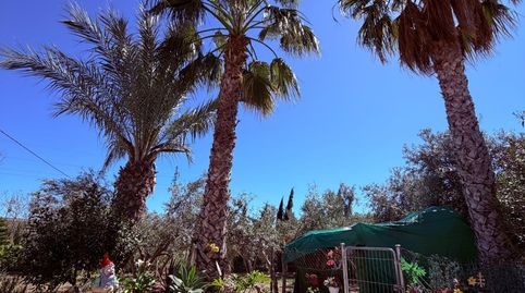 Foto 4 de Casa o xalet en venda a Crevillent, Alicante