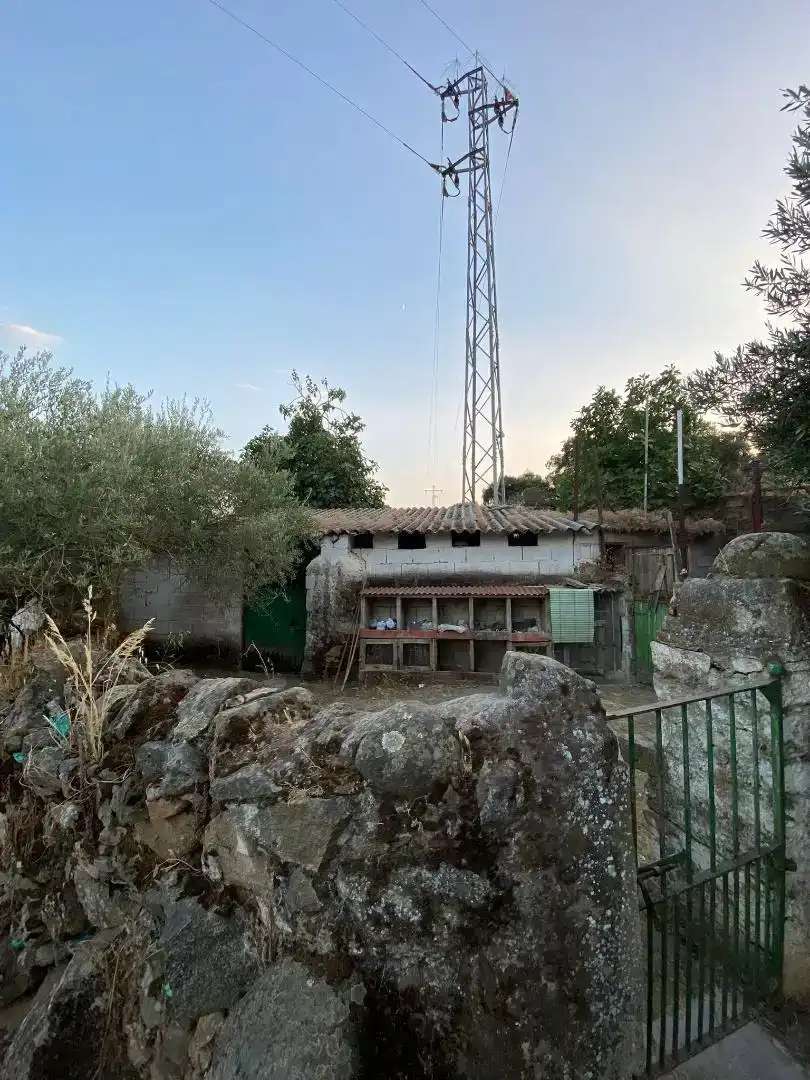 Vista exterior de Finca rústica en venda en Burguillos del Cerro, Badajoz
