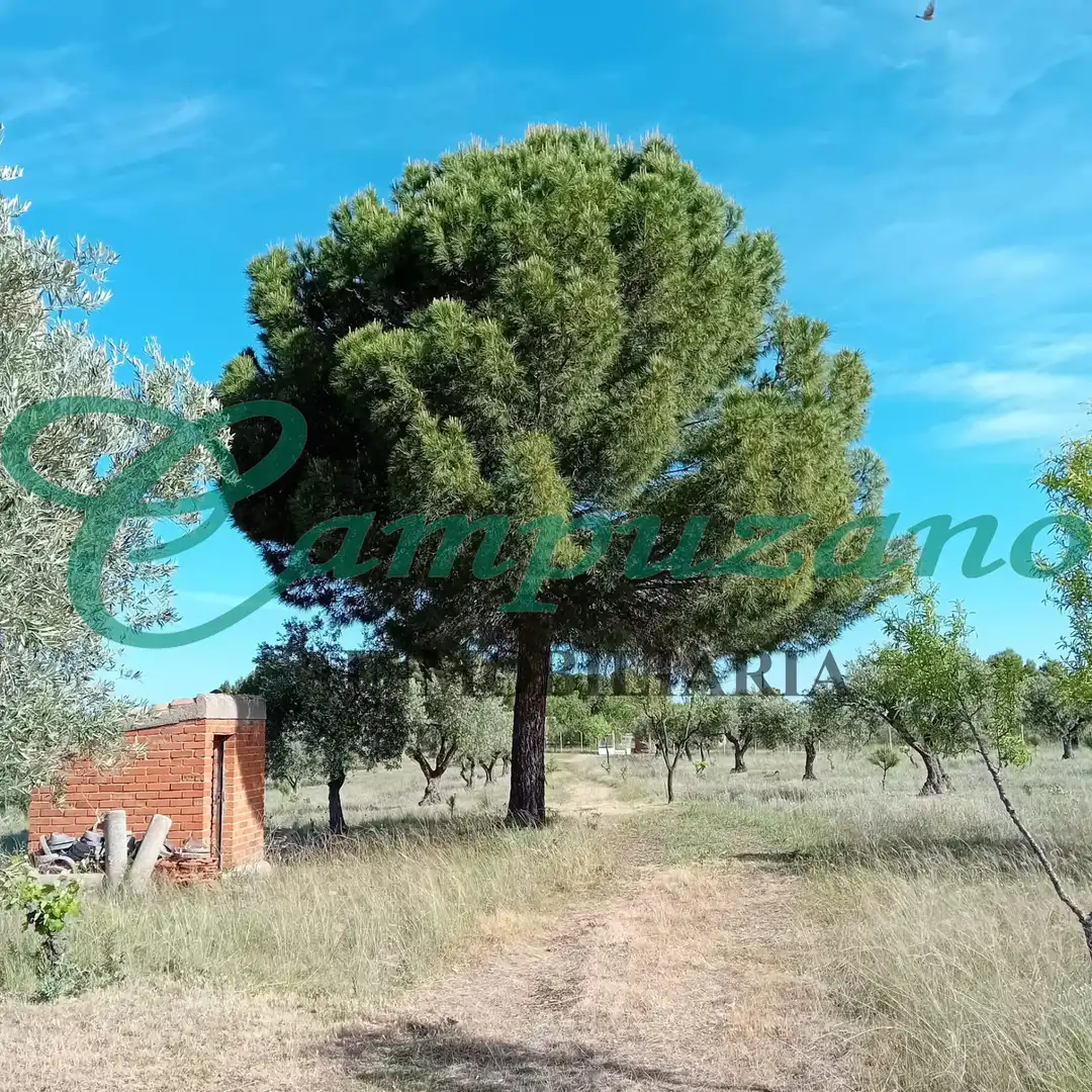 Land for sale in Chinchón