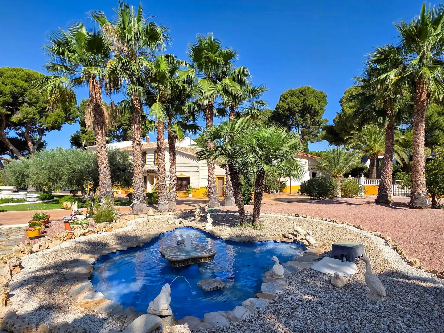 Jardí de Casa o xalet en venda en Petrer