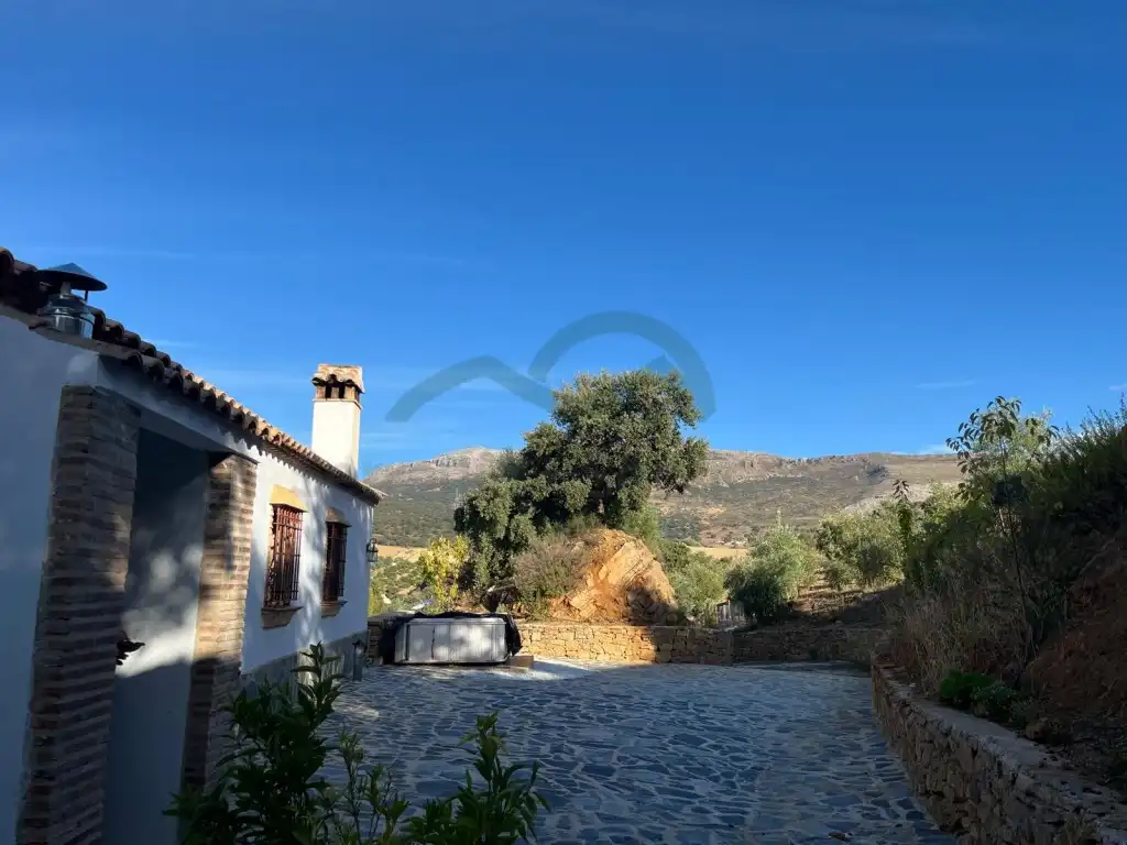 Vista exterior de Finca rústica de lloguer en Ronda