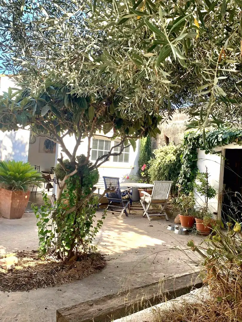 Jardí de Casa o xalet en venda en  Palma de Mallorca amb Piscina