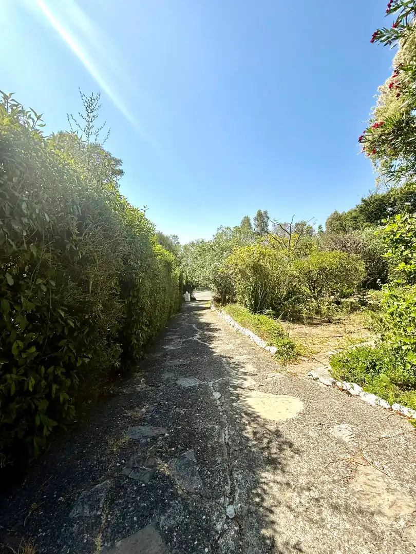 Vista exterior de Casa o chalet en venta en Algeciras con Jardín privado, Terraza y Piscina