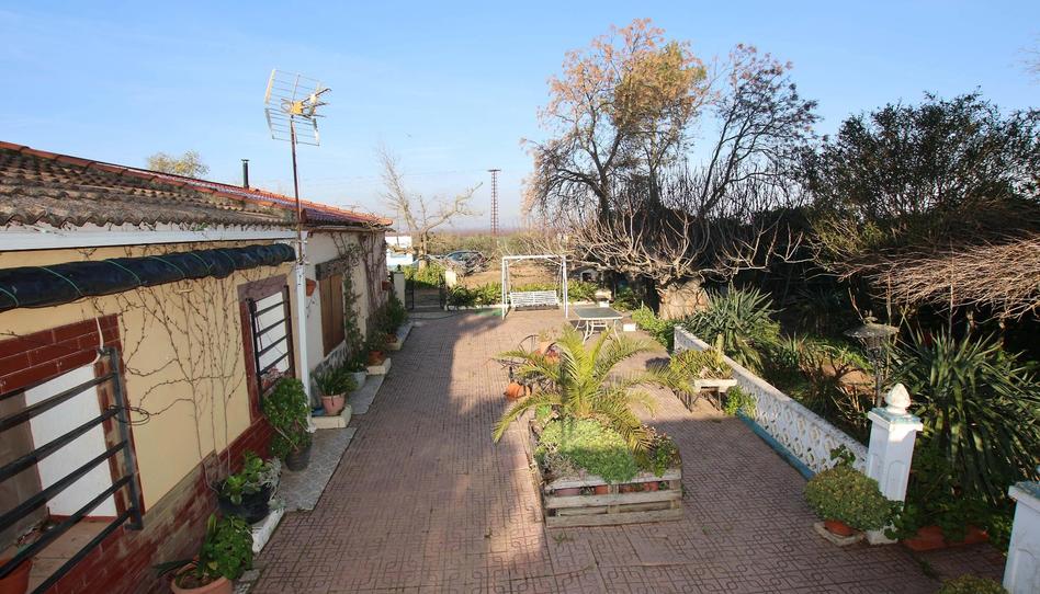 Photo 1 of Country house for sale in Polígono 680 - Parcela 423, Pueblonuevo del Guadiana, Badajoz