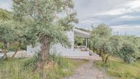 Garden of Country house for sale in Güevéjar  with Swimming Pool