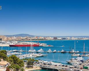 Vista exterior de Planta baixa en venda en  Palma de Mallorca amb Aire condicionat, Terrassa i Piscina