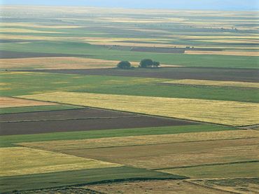 Terreni e lotti in vendita a Barbadás