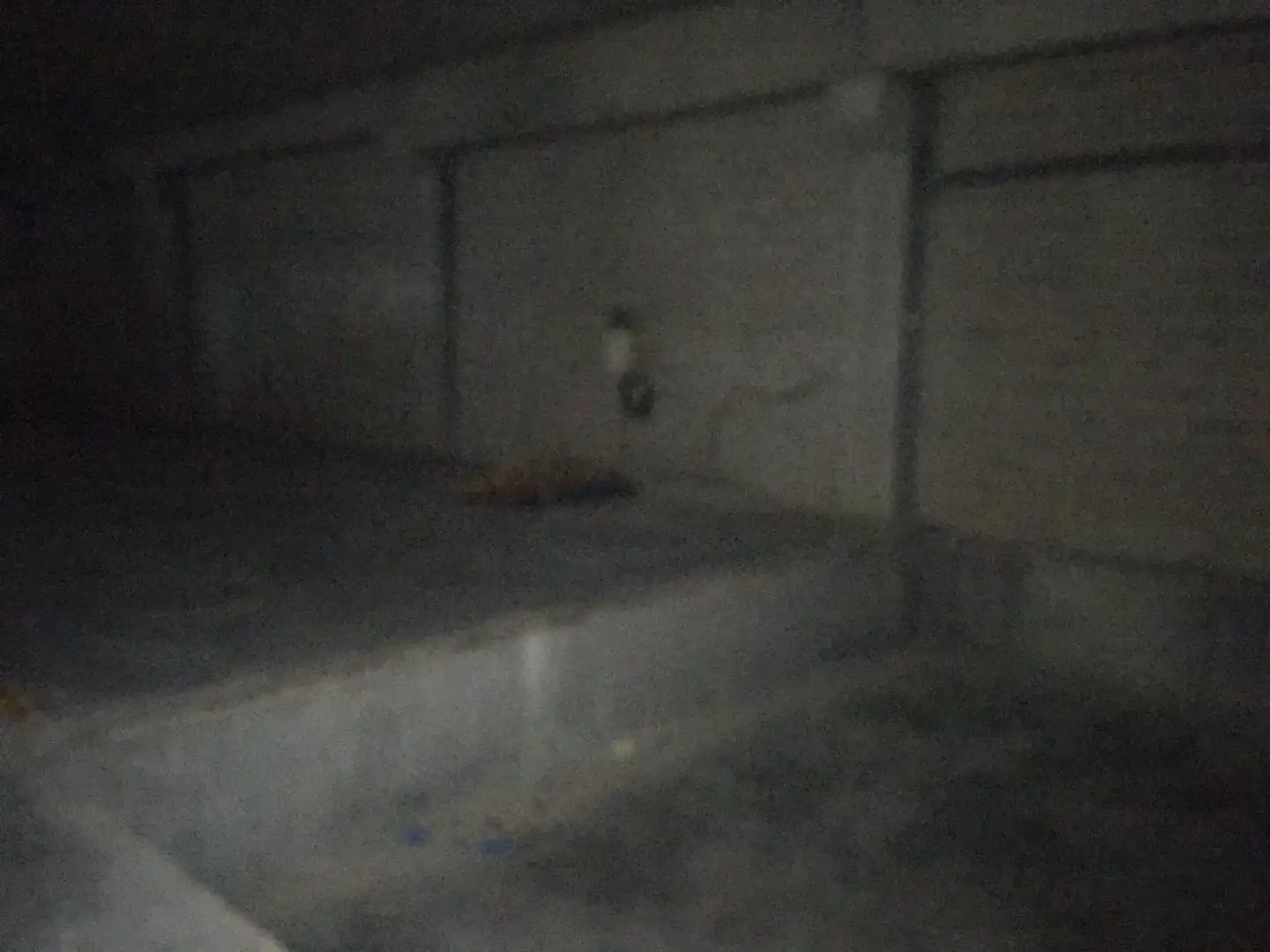Nave industrial in affitto a Cornellà del Terri, imagen 19