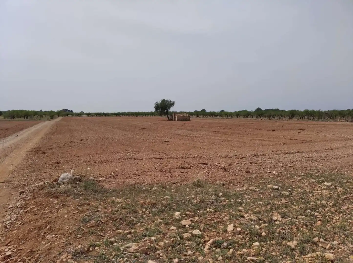 Terrenys i solars en venda a Benlloc, imagen 5