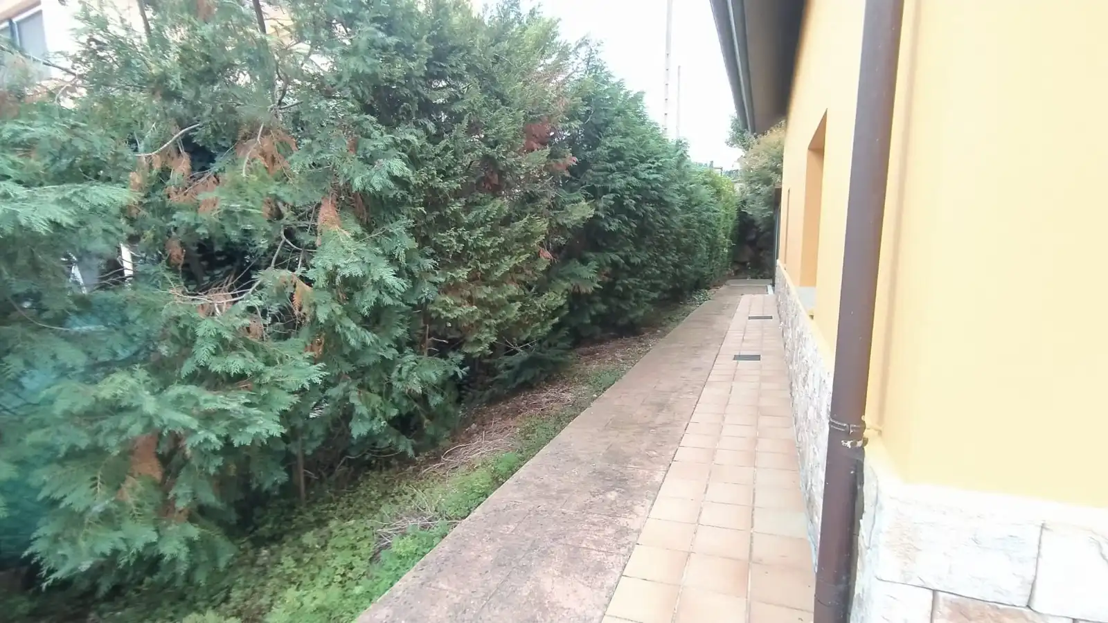 Detached house with terrace for sale in Barrio Monsenor, imagen 10
