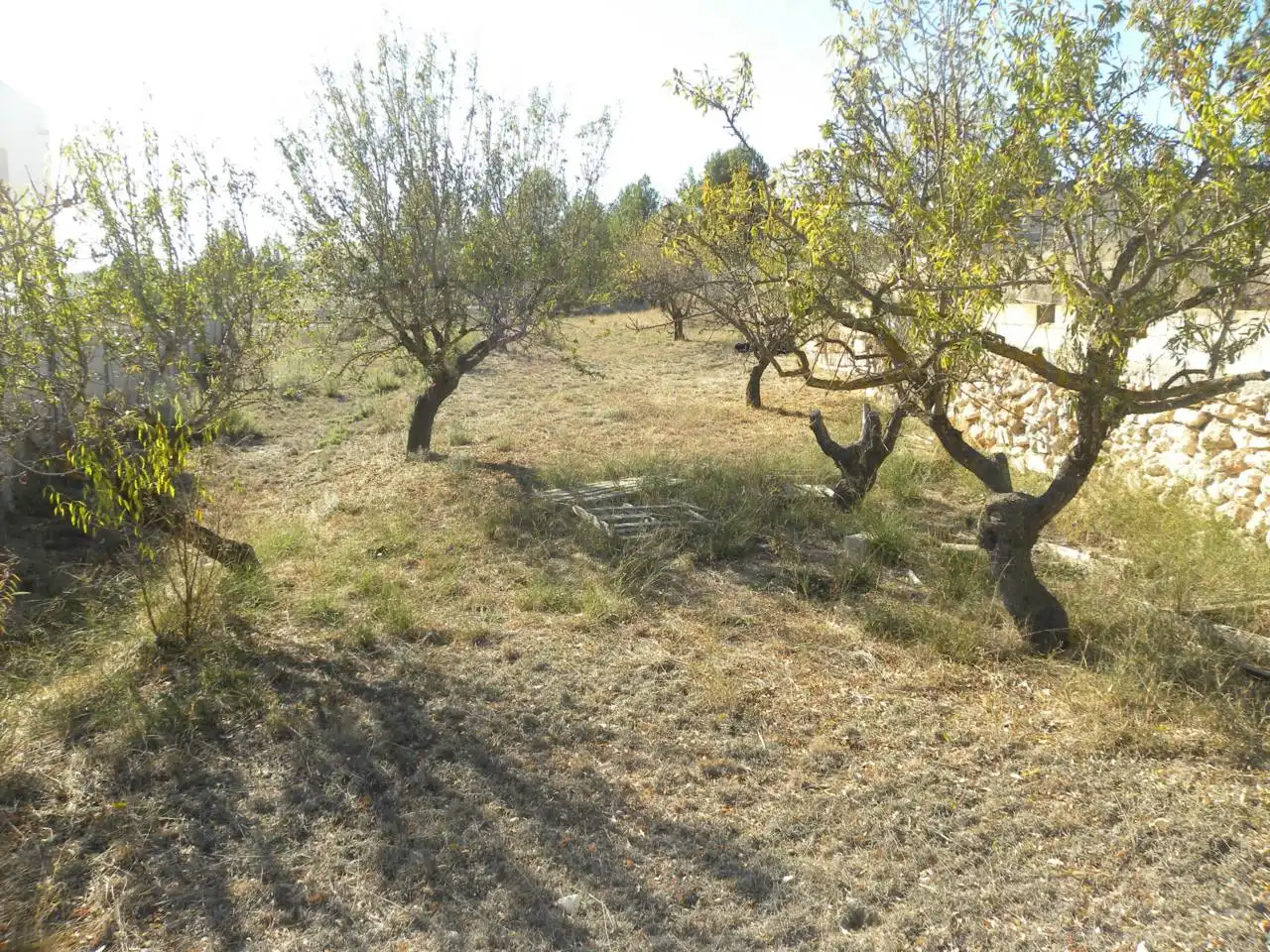 Residential land for sale in Caravaca de la Cruz, imagen 6