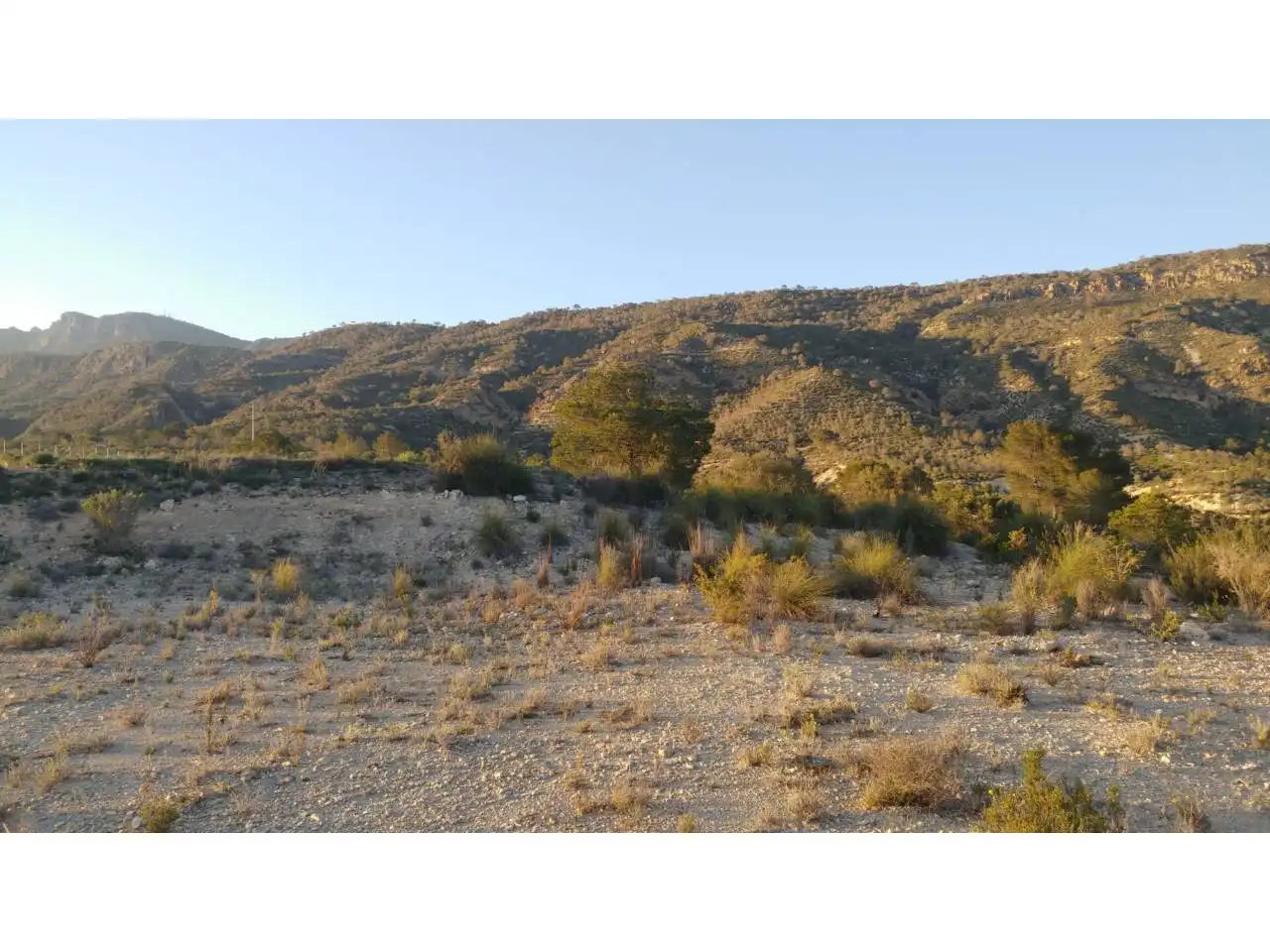 Lands and plots for sale in Ojós, imagen 15