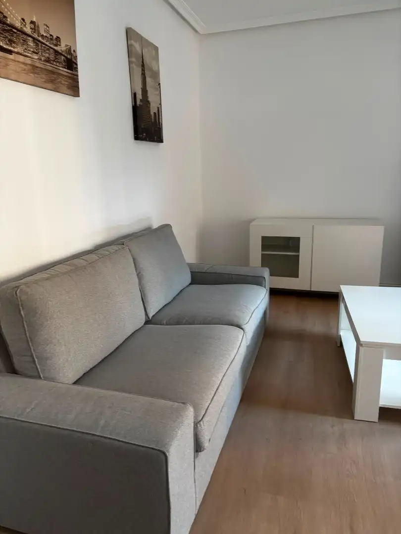 Sala d'estar de Apartament de lloguer en Zaragoza amb Calefacció, Moblat i Forn
