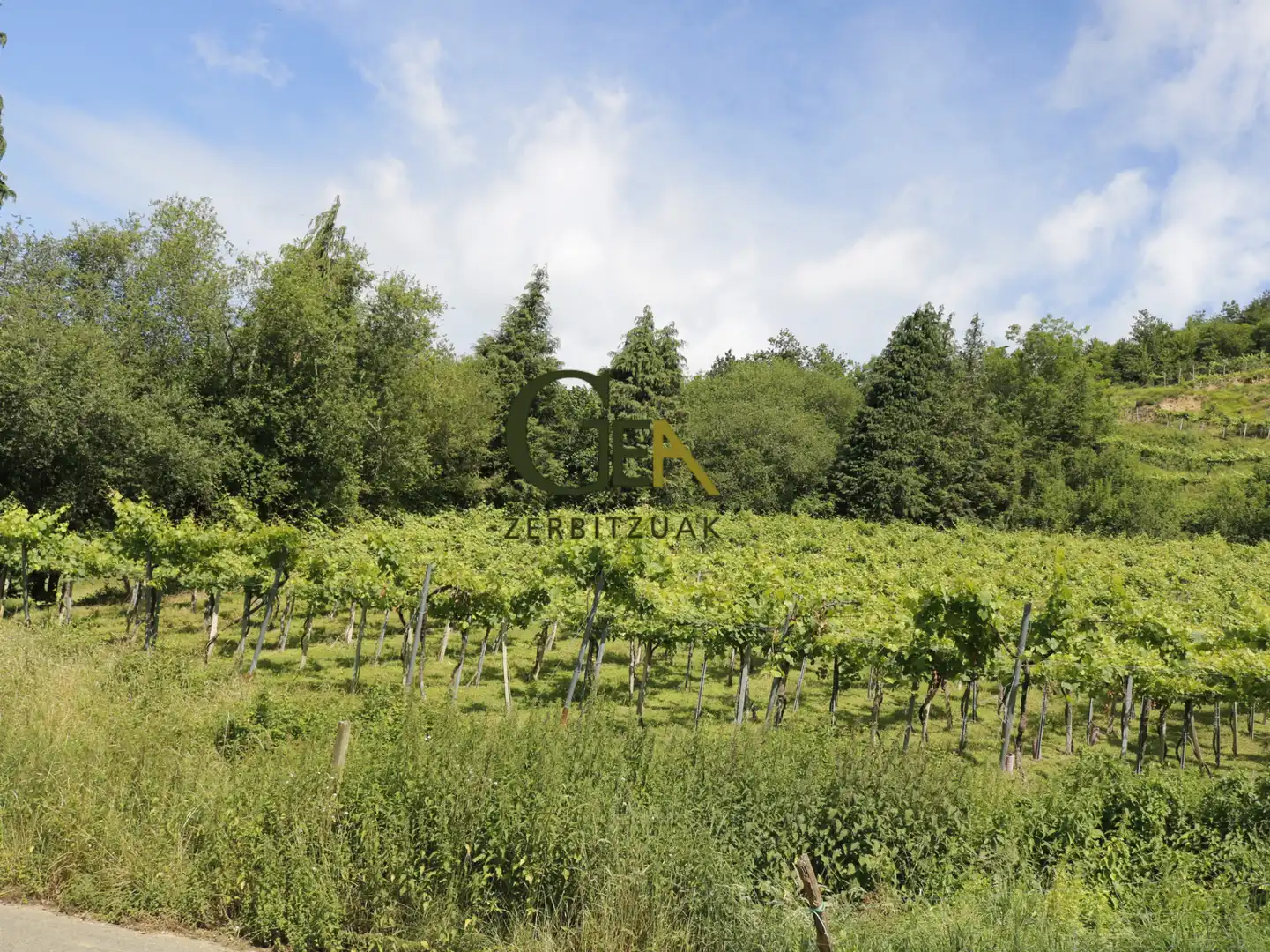 Einfamilien-Reihenhaus zum Verkauf in Alkiza mit Heizung, Privatgarten und Terrasse