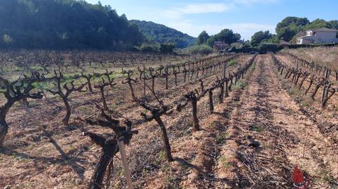 Foto 5 de Finca rústica en venta en Av Mar, Valldemar - Montmar, Calafell