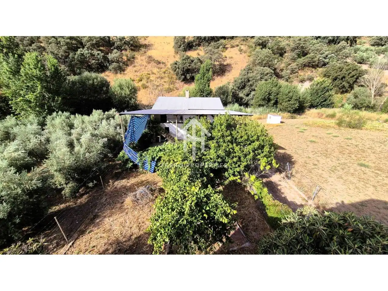 Jardí de Casa o xalet en venda en Algarinejo amb Jardí privat, Terrassa i Moblat