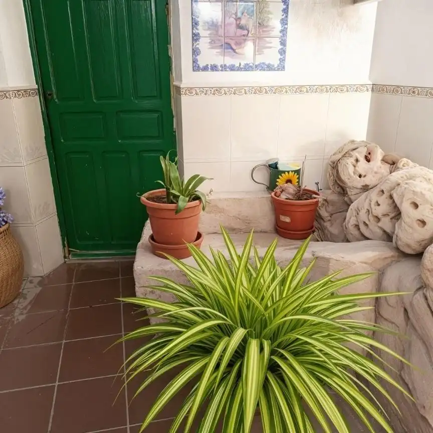 Maison à vendre à La Roda, imagen 6