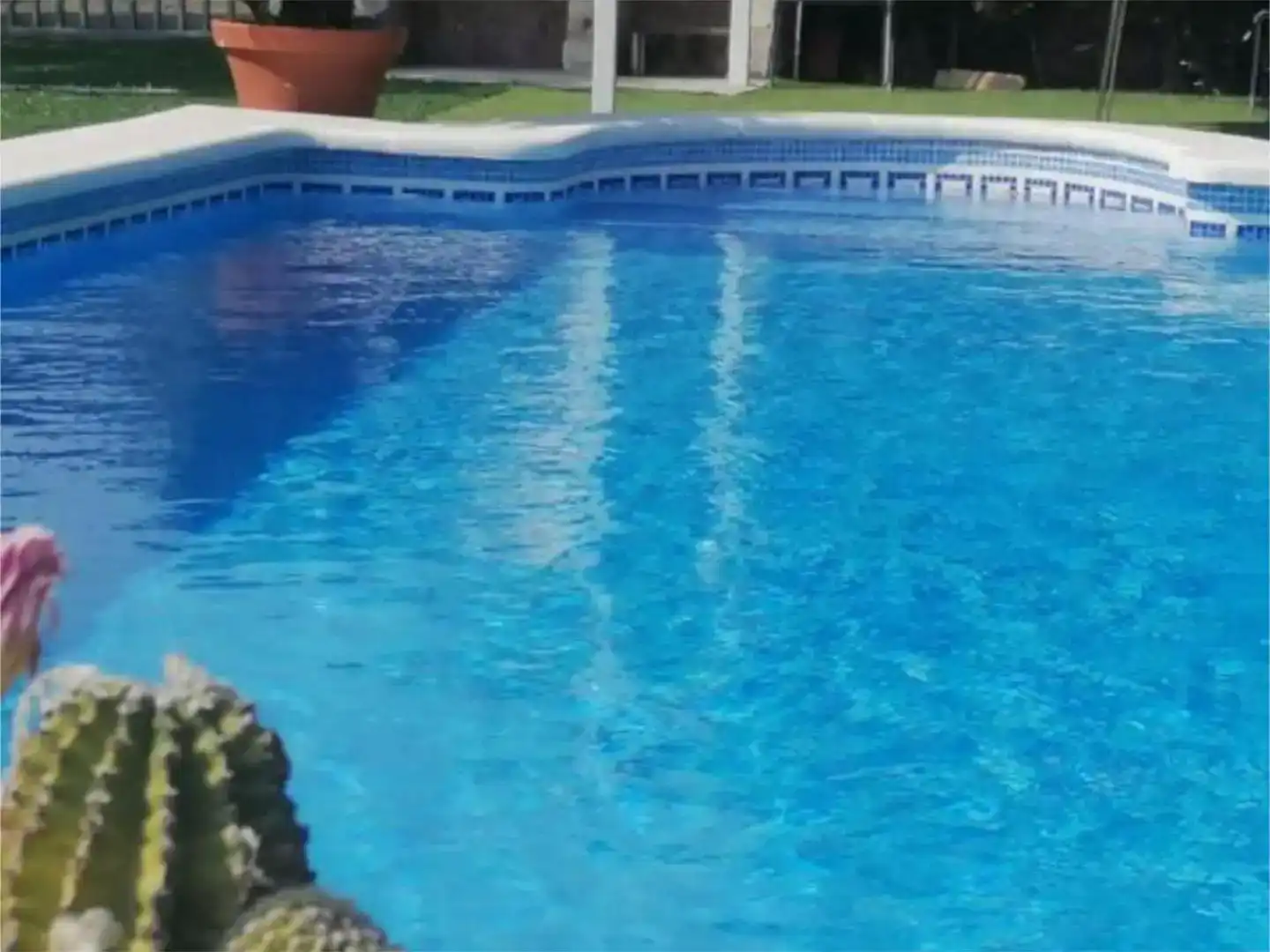 Piscina de Finca rústica en venda en Vilches amb Jardí privat, Piscina i Moblat