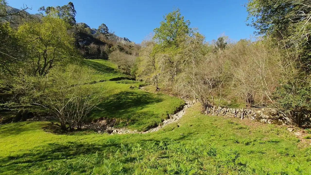 Finca rústica en venta en Llanes
