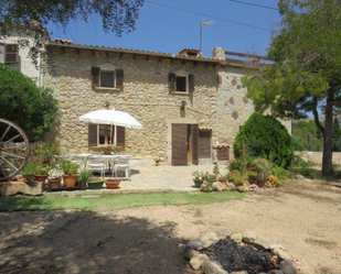 Jardí de Casa o xalet en venda en Andratx amb Aire condicionat, Jardí privat i Terrassa