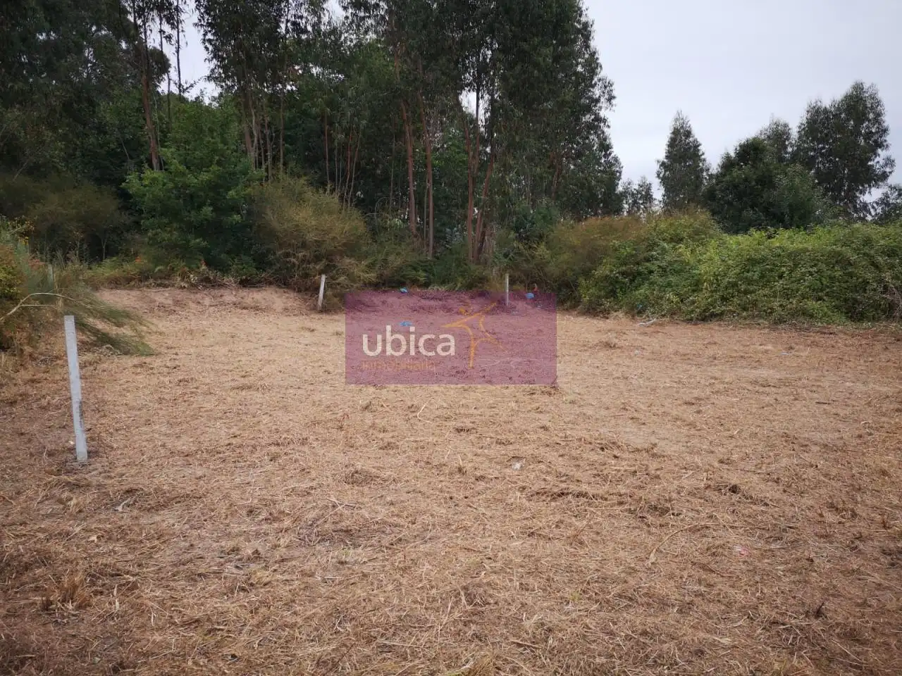 Residential for sale in Tui