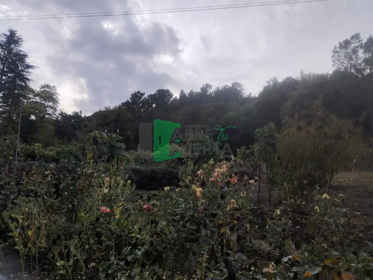 Casa o chalet en venta en Punxín con Jardín privado, Amueblado y Balcón