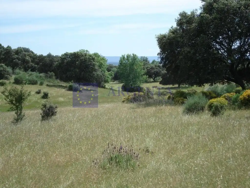 Maison à vendre à Poligono 11 Paraje 59 Cañada, imagen 3