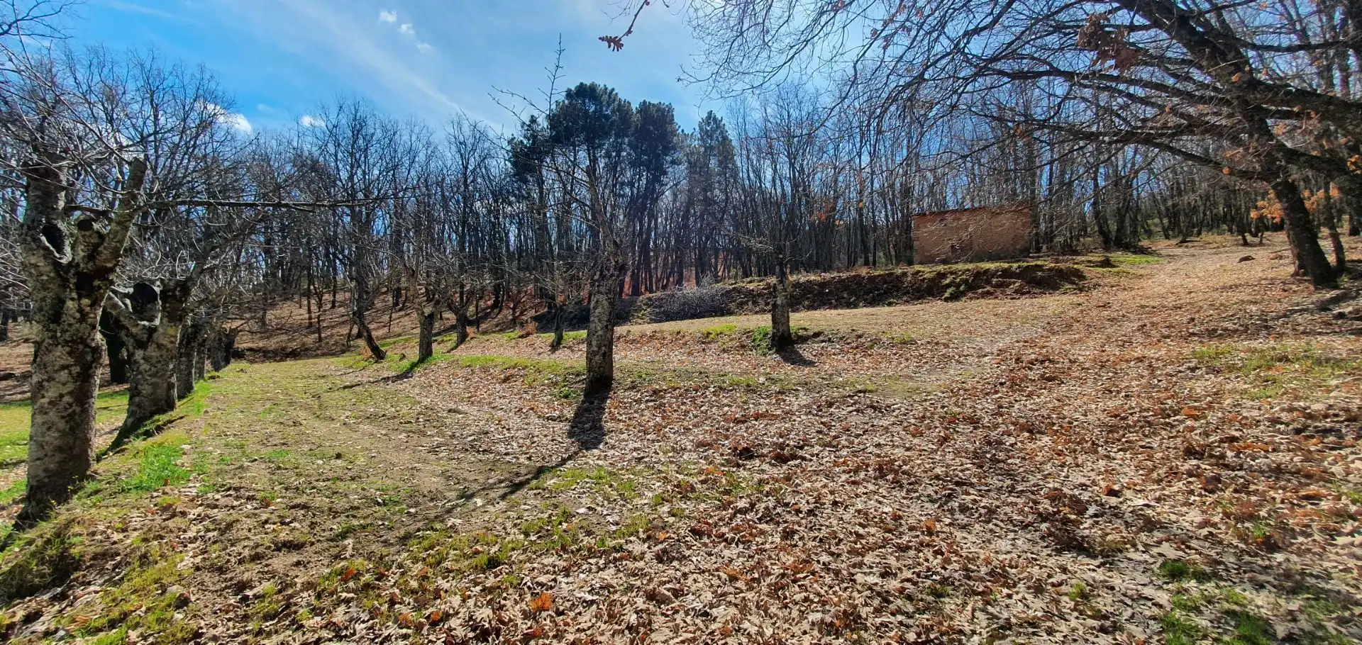 Terreni e lotti in vendita a Jarandilla de la Vera, imagen 23