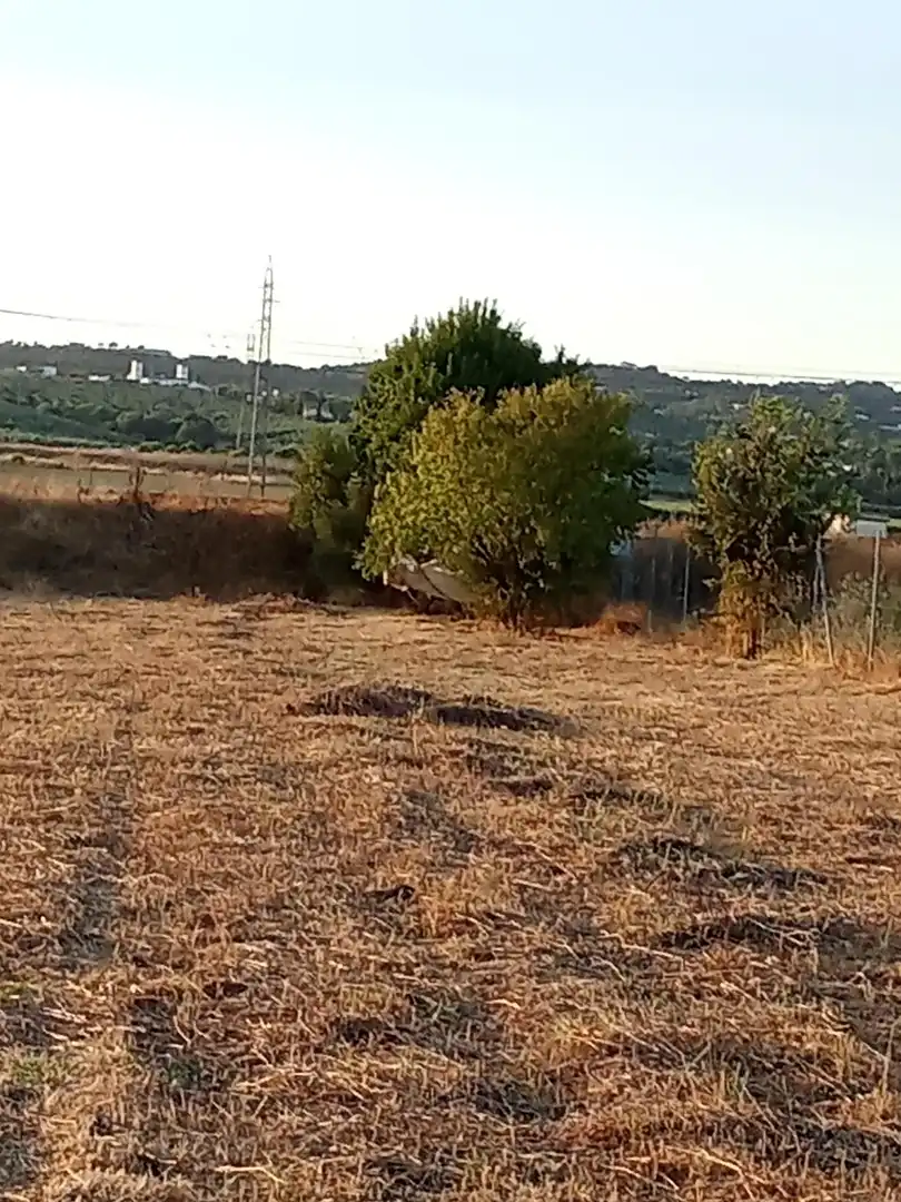Land for sale in Almodóvar del Río